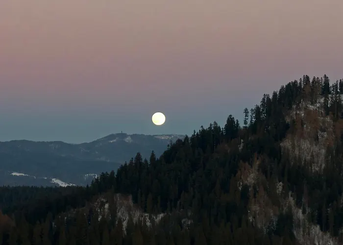 럭셔리텐트 Owcza Jurta *